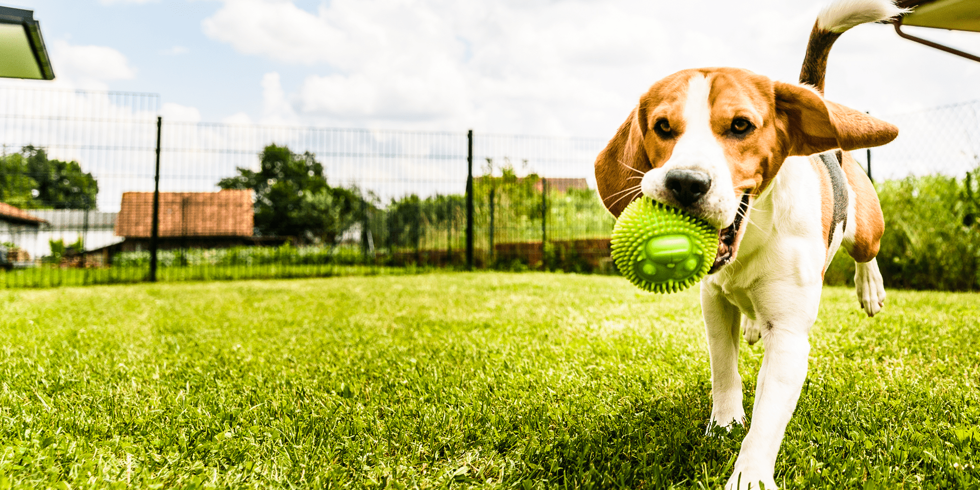 Cuidamos tu salud y la de tu mascota
